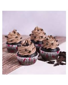 Sugar Free Chocochip Cupcake