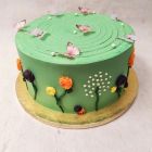 Green Butterfly Cake